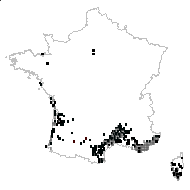 Arbutus unedo var. integrifolia (Sims) Rouy - carte des observations