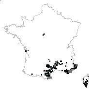 Arsace arborea (L.) Fourr. - carte des observations