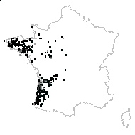 Erica ciliaris L. - carte des observations