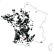 x Ericalluna bealeana Krussm. - carte des observations