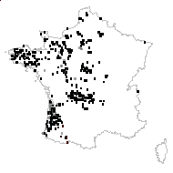 Erica tetralix L. - carte des observations