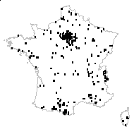 Chamaecistus serpyllifolius Gray - carte des observations