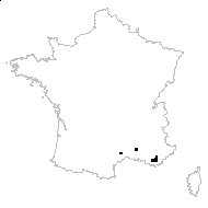 Chrozophora tinctoria (L.) A.Juss. - carte des observations