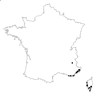 Tithymalus dendroides (L.) Hill - carte des observations