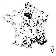 Euphorbia dominii Rohlena - carte des observations