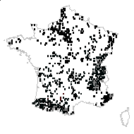 Sanicula officinarum Lam. - carte des observations