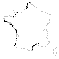 Tithymalus paralias (L.) Hill - carte des observations