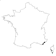 Acacia retinodes Schltdl. - carte des observations