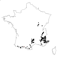 Anthyllis montana L. subsp. montana - carte des observations