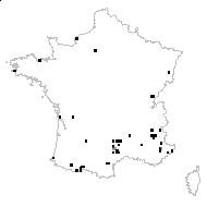 Anthyllis vulneraria L. subsp. vulneraria - carte des observations