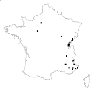 Anthyllis vulneraria subsp. carpatica (Pant.) Nyman - carte des observations