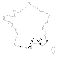 Anthyllis illyrica Beck - carte des observations