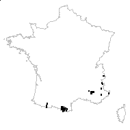 Anthyllis vulneraria subsp. vulnerarioides (All.) Arcang. - carte des observations