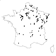 Selinum carvifolia (L.) L. - carte des observations