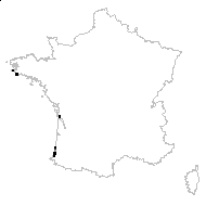 Astragalus baionensis Loisel. - carte des observations