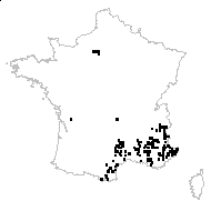 Astragalus monspessulanus L. subsp. monspessulanus - carte des observations