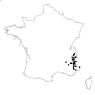 Astragalus linearifolius Pers. - carte des observations
