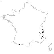 Astragalus penduliflorus Lam. - carte des observations