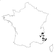 Seseli coloratum var. carvifolium (Vill.) Burnat - carte des observations