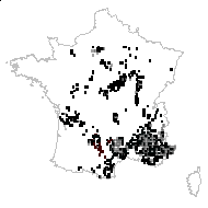 Coronilla coronata DC. - carte des observations