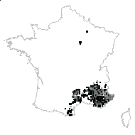 Cytisus sessilibus Mill. - carte des observations