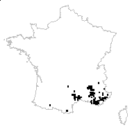 Genista pilosa subsp. jordanii (Rouy) Braun-Blanq. - carte des observations