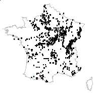 Genista tinctoria L. - carte des observations