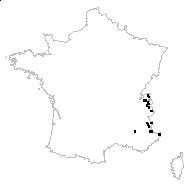 Banalia alpina Bubani - carte des observations