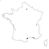 Hedysarum spinosissimum L. - carte des observations