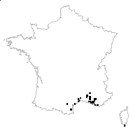 Hippocrepis multisiliquosa proles ciliata (Willd.) Rouy - carte des observations