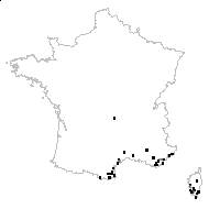 Lathyrus angulatus L. [1753] - carte des observations