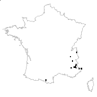 Lathyrus heterophyllus L. - carte des observations