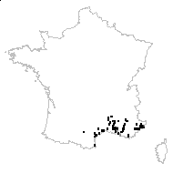 Seseli tortuosum L. - carte des observations