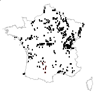 Peucedanum flavum Salisb. - carte des observations