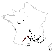 Lathyrus coccineus All. - carte des observations