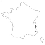 Achillea dentifera DC. - carte des observations