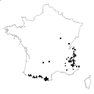 Lotus corniculatus subsp. brachyodon (Boiss.) Ponert - carte des observations