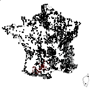 Lotus corniculatus L. - carte des observations