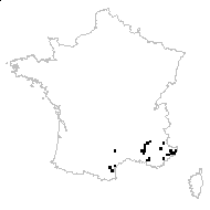 Lotus pilosus Jord. - carte des observations