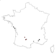 Alyssum micropetalum DC. - carte des observations