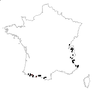 Anemone dubia Bellardi - carte des observations