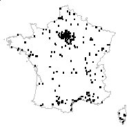 Anthemis maritima L. - carte des observations