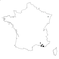 Arenaria modesta Dufour - carte des observations