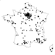 Aristolochia lutea Gaudin - carte des observations