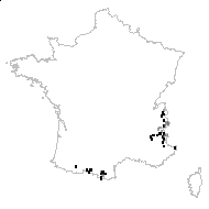 Astragalus alpinus L. - carte des observations