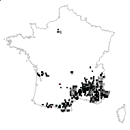 Astragalus monspessulanus var. canescens Boiss. - carte des observations