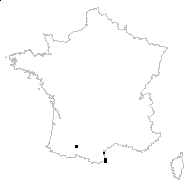 Brassica fruticulosa Cirillo - carte des observations