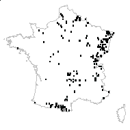 Cardamine amara L. - carte des observations