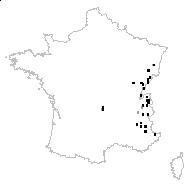 Carduus personata (L.) Jacq. - carte des observations