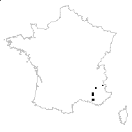 Ranunculus testiculatus Crantz - carte des observations